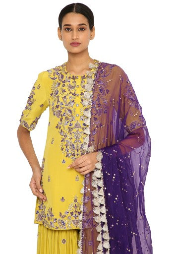 Imani Lime Green Colour Embroidered Kurta And Sharara With Purple Organza Dupatta Sale