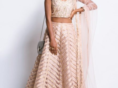 The Blush Ava Lehenga Discount