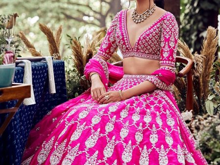 AANTIKA LEHENGA For Discount