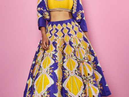 CARROUSEL LEHENGA SET Online Sale