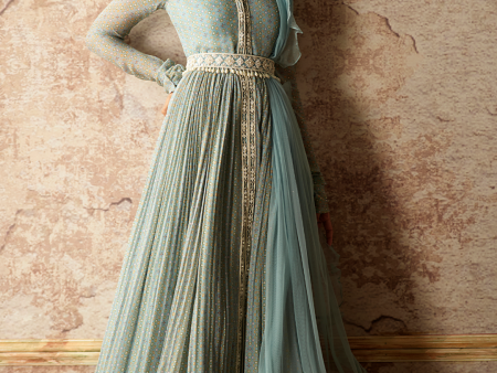 The Zaida Anarkali Online Hot Sale