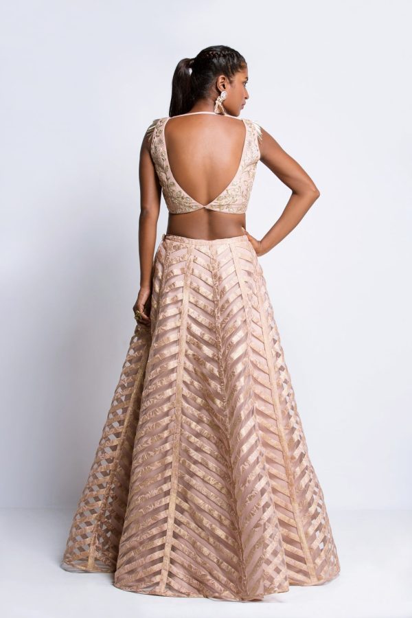 The Blush Ava Lehenga Discount