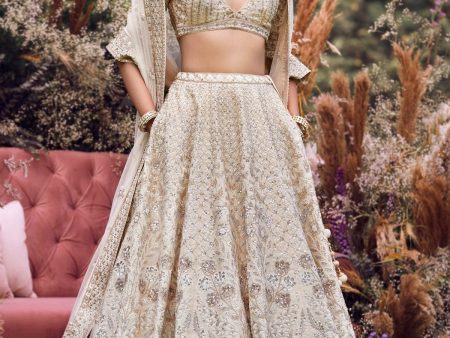 EILNAZ LEHENGA For Cheap