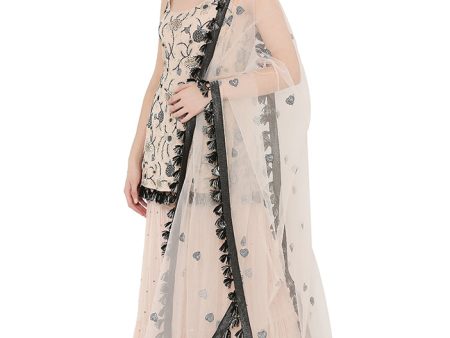 BLUSH KURTA SHARARA SET For Discount