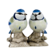 Blue Tit Salt & Pepper Shakers Hot on Sale