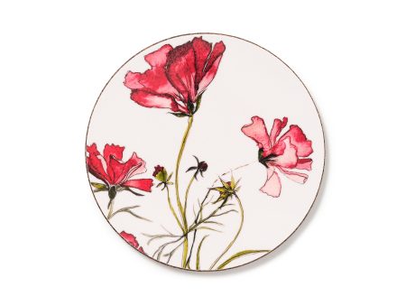 Cosmos Coaster on Sale