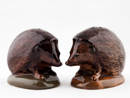 Hedgehog Salt & Pepper Shakers For Cheap