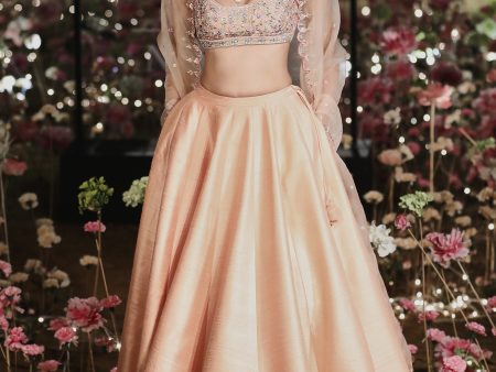 VRISHTI LEHENGA For Sale