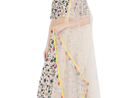 White Colorful Embroidered Lehenga Hot on Sale