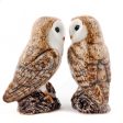 Barn Owl Salt & Pepper Shakers Online