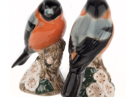 Bullfinch Salt & Pepper Shakers For Sale