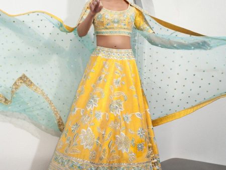 ANASTACIA LEHENGA For Cheap