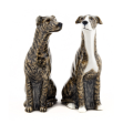 Greyhound Brindle Salt & Pepper Shakers Online Sale