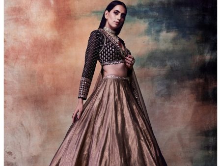 Copper Shimmer Organza Lehenga Set Fashion